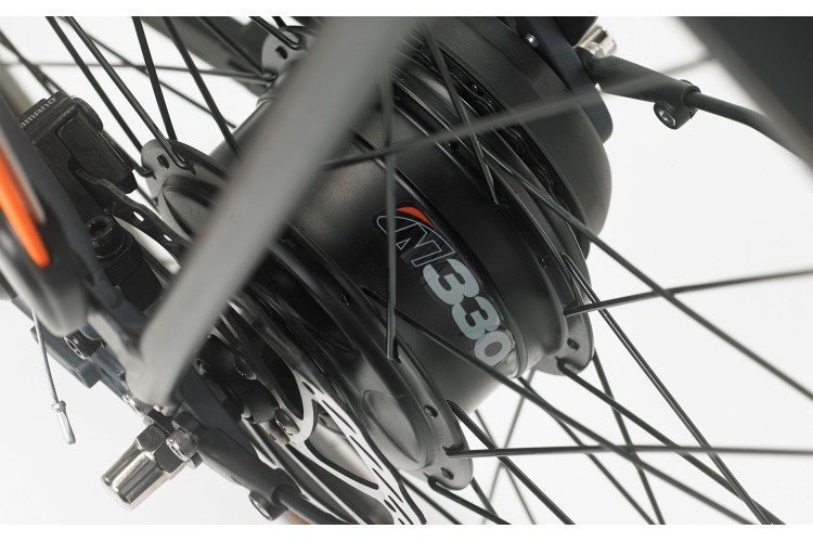 QWIC Premium N330.1 Pedelec