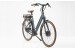 QWIC Premium N330.1 Pedelec