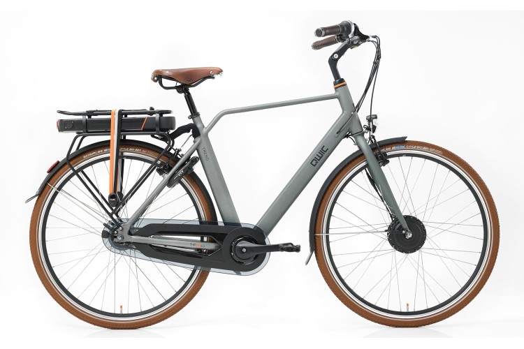 QWIC Trend FN8c Lite Pedelec 2017